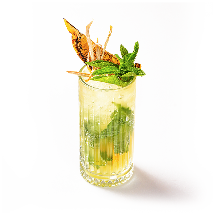 Ginger Mojito
