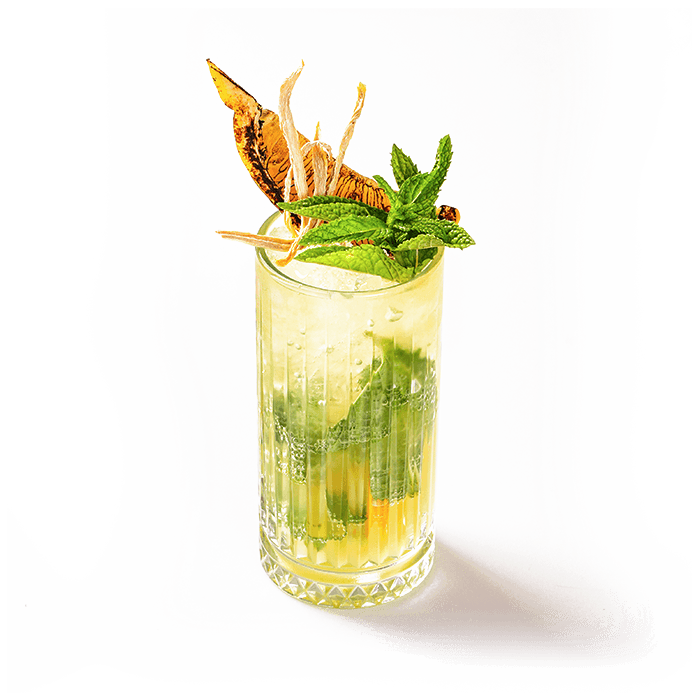 Ginger Mojito